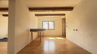 CHARMANT, STADTNAH, IM GRÜNEN! Neu ausgebaute 1 1/2-Zi.-Single-Wohnung mit SüdWest-Terrasse