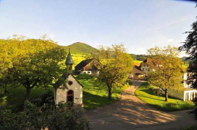 Ansprechende 3,5-Zimmer-DG-Wohnung und Biosauna