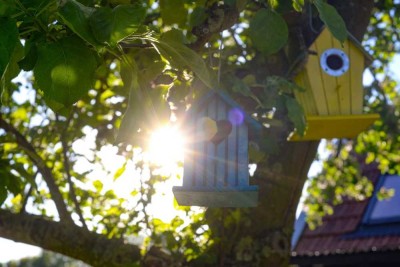 Sozial bauen leicht gemacht: Hausbau ab 10 % Eigenkapital möglich