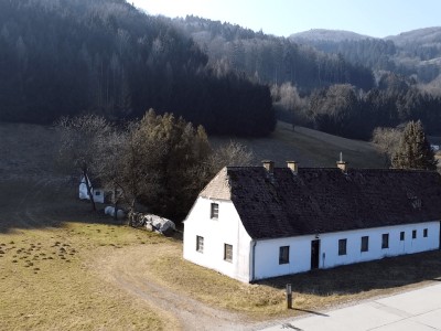 Traumhaftes Grundstück mit großem Potenzial direkt an der Donau, drei Gebäude inklusive!