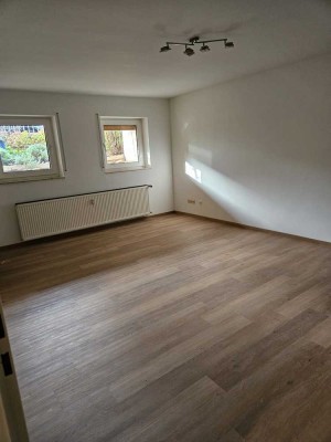 Helle 1-Zimmer Wohnung im Souterrain in Bad Homburg