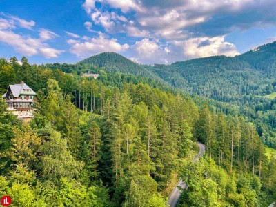 Wohnen im Herzen des historischen Höhenluftkurorts Semmering!