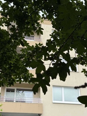 Moderne ETW in ruhiger Lage