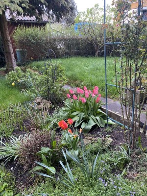 Freundliche und großzügige 2-Zimmer Wohnung mit Garten und Auto-Stellplatz