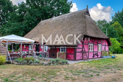 Charmantes Reetdachhaus mit großem Grundstück