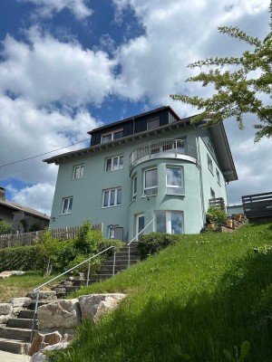 Charmantes Dachgeschoss-Loft mit Ausblick - ab 01.08.2025 Bezugsfrei