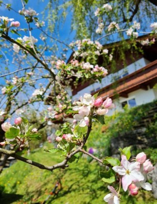 Zweifamilienhaus mit Garten und unverbaubarem Blick auf das Inntal - PROVISIONSFREI