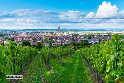 Einfamilienhaus/ehem. Weingut