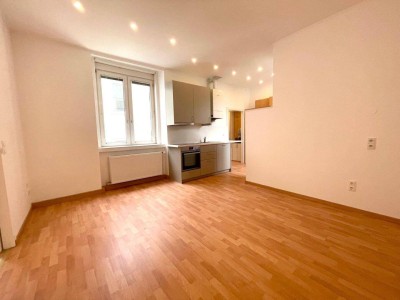 gemütliche 2 Zimmer Wohnung - Erstbezug nach Generalsanierung, hofseitige Ruhelage