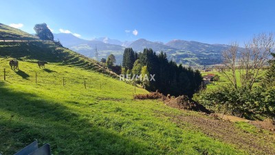 Einmalige Aussicht: Exklusive Neubauwohnung in Aussichtslage!