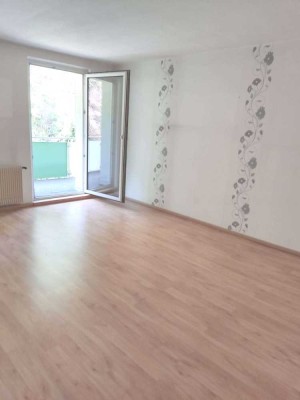 helle Wohnung mit zwei Balkonen im Herzen von Steinbachtal