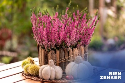 Ihr Traum wird wahr - Familiendomizil im Grünen