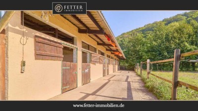 Reitanlage in Rheinland-Pfalz zu verkaufen – Pferdeimmobilie mit kleiner Reithalle und Wohnhaus!