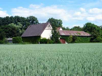 Historisches landwirtschaftliches Anwesen mit viel Potenzial & in herrlicher Pfungstädter Außenlage