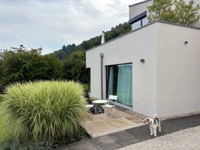 Attraktive 1-Zimmer Wohnung mit Terrasse in Bodman