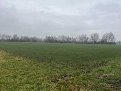 Resthof mit anliegender landwirtschaftlicher Fläche