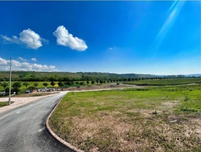 Verwirklichen sie Ihren Traum im Neubaugebiet Merxheim!!Bungalow - inkl. überdachter Sonnenterrasse!