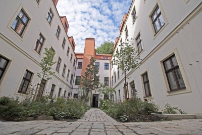 9, Nähe Gymnasium Wasagasse: Exklusive Altbauwohnung im wunderschönen sanierten Biedermeier Zinshaus: