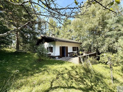 Ferienhaus mit Freizeitwohnsitzwidmung in ruhiger Waldrandlage auf über 1000m² Grundstücksfläche
