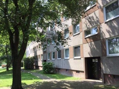 Zuhause fühlen: individuelle 3-Zimmer-Wohnung