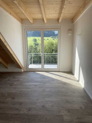 2023 Neubau**Helle exclusive Penthouse 2-Zi-Wohnung, KFW40 Plus Südbalkon