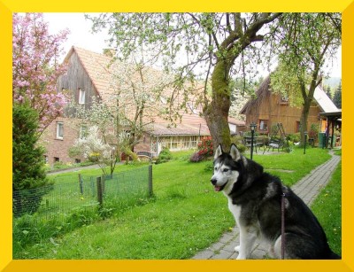 3 Häuser mit Riesengrundstück in traumhafter Naturlage (O-3010)