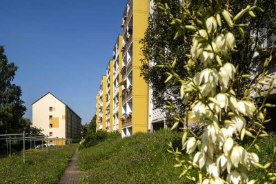 Traumhafte Single-Wohnung mit sonnigem Balkon!!!!
