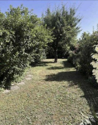 Reihenhaus in Inningen mit schönem Garten