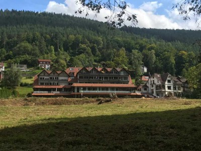 Attraktive 1-Zimmer-Wohnung mit Einbauküche in Bad Wildbad