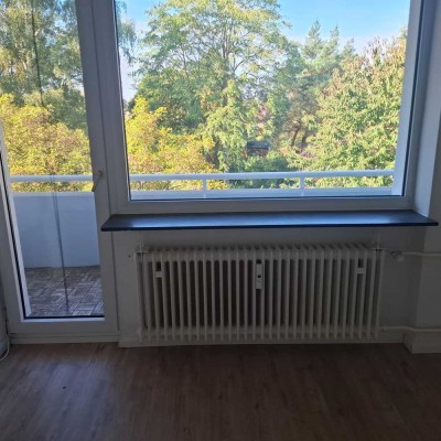 Helle 2-Zimmer mit Balkon in Mölln