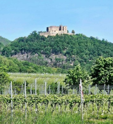 Ein verstecktes Juwel, angrenzend an die Weinberge mit Blick auf das Hambacher Schloss