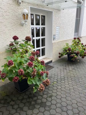 Vollständig renovierte 2-Zimmer--Wohnung in Bielefeld-Zentrum