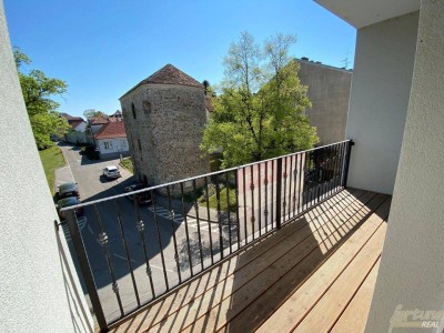 Wunderschöne Mietwohnung an der Donaulände in Tulln