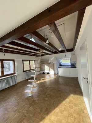 Dachwohnung mit Blick ins Grüne