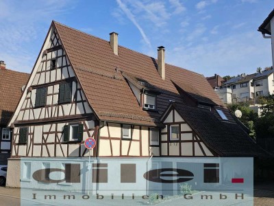 **Denkmalgeschützte Rarität für Liebhaber, mehrere Generationen möglich, beeindruck. Platzangebot**
