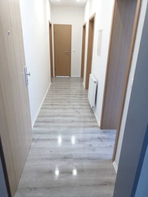 Modernisierte 2-Zimmer-Wohnung im 1. OG in Eilenburg