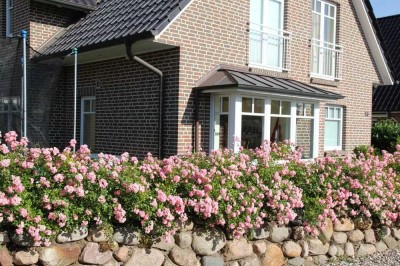 Von Privat: Schönes Einfamilienhaus mit 5 Zimmern und Kamin