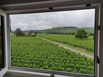 Gemütliche 2 ZKB-Wohnung mit Blick ins Grüne