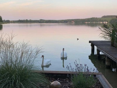 DIREKTLAGE AM SEE - FREIZEITGRUND, SOMMERHÄUSCHEN CA. 20 m² + STEGANLAGE + BOOTSHAUS