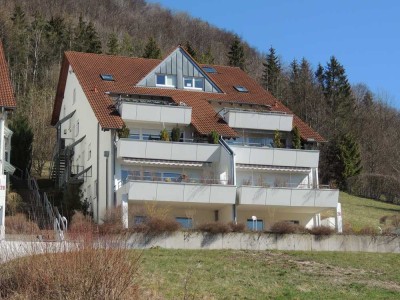 Über den Dächern von Bad Ditzenbach - mega Aussicht