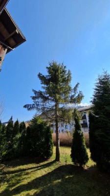 Bad Reichenhall, nähe KARLSPARK ruh. große 4 Zi-EG-Whg,+Hobbyraum,, Parkett, sep.Wc, Terr, Garten