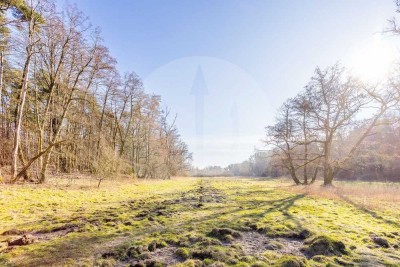 Natur, Raum und Lebensqualität vereint - Einfamilienhaus mit Weitblick