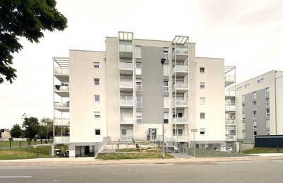 Neuwertige 3 Zimmer Wohnung in Biebesheim