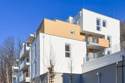 Dachterrassenhit mit spektakulären Ausblick