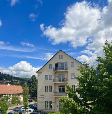 Wunderschöne große 3-Raum Wohnung in Dresden-Loschwitz