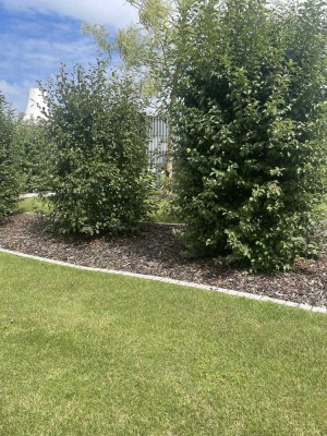 Raus aus der Miete - wir realisieren jetzt Ihr Wunschhaus! Grundstück verfügbar!