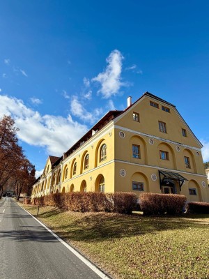 Stilvoll renovierte Wohnung im Naturpark Grebenzen - nur 750m bis zum Skigebiet