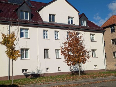 Schöne hochwertige 3 Zi-WE mit Garten, Loggia, sep. Kü, Wanne+Du, Fußbodenhzg. STP im Süden (Halle)