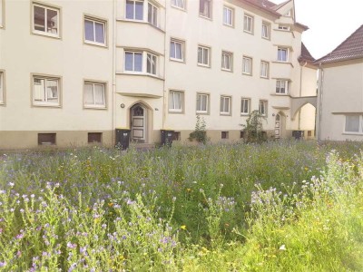 gut geschnittene 2-Zimmerwohnung  am Honsel