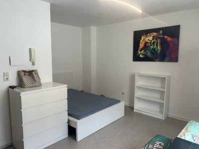 150 Meter zum Main möblierte 1-ZKB mit neuem Bett, Matratze, Pantry-Küche, Tageslicht-Duschbad